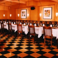 Classic Collection Dark Shade and Leopard Tile - Restaurant