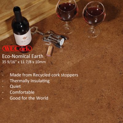 Eco Earth