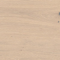 Sand Dune