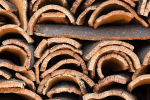 Cork Harvesting