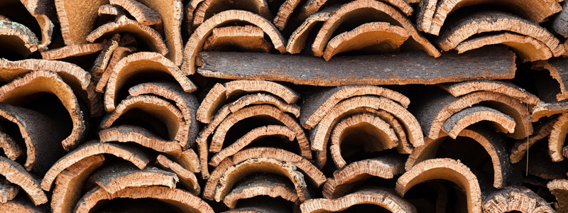 Cork Harvesting