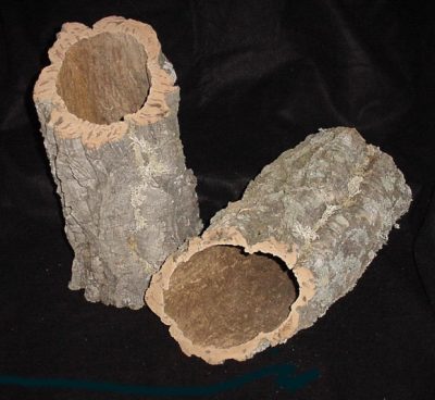 Cork Planters