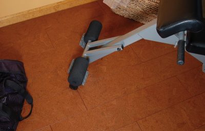 Timeless: Renaissance Earth - Home Gym