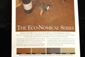 Eco-Nomical Flyer