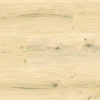 Sunrise Oak