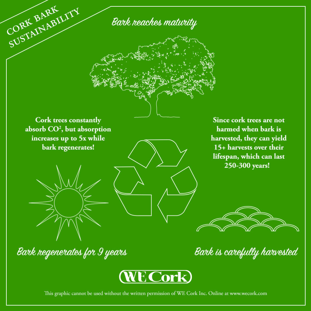 Cork Bark Sustainability Infographic