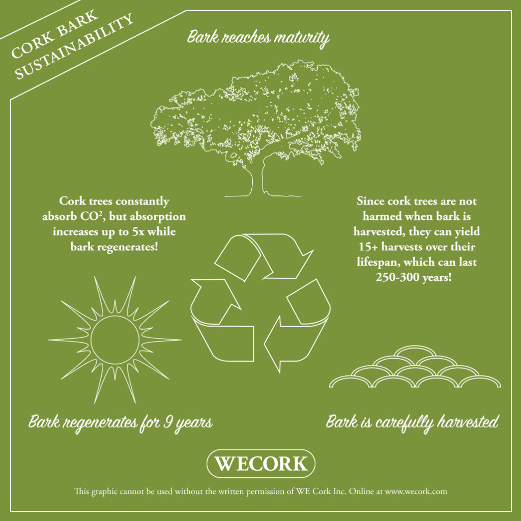 Cork Bark Sustainability Infographic